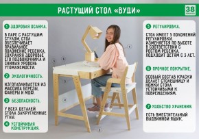 Комплект растущий стол и стул 38 попугаев «Вуди» (Серый, Без покрытия) в Магнитогорске - magnitogorsk.mebel-74.com | фото