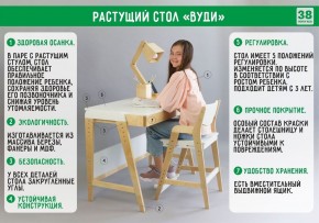 Комплект растущий стол и стул с чехлом 38 попугаев «Вуди» (Белый, Белый, Салют) в Магнитогорске - magnitogorsk.mebel-74.com | фото