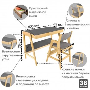 Комплект растущий стол и стул с чехлом 38 попугаев «Вуди» (Серый, Без покрытия, Серый) в Магнитогорске - magnitogorsk.mebel-74.com | фото