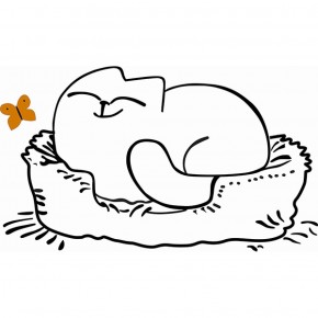 Кровать двухуровневая Кот № 900.1 ЛЕВАЯ (туя светлая/белый) в Магнитогорске - magnitogorsk.mebel-74.com | фото