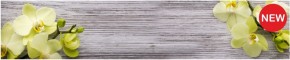 Кухонный фартук КМ 09 Композит глянец (3000) в Магнитогорске - magnitogorsk.mebel-74.com | фото