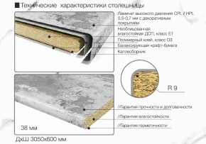 Кухонный фартук со столешницей (А-04) в едином стиле (3050 мм) в Магнитогорске - magnitogorsk.mebel-74.com | фото
