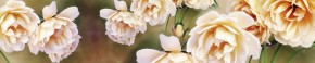 Кухонный фартук Цветы 066 МДФ матовый (3000) Flowers в Магнитогорске - magnitogorsk.mebel-74.com | фото