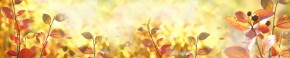 Кухонный фартук Цветы 318 МДФ матовый (3000) Flowers в Магнитогорске - magnitogorsk.mebel-74.com | фото
