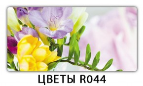 Обеденный раздвижной стол Бриз с фотопечатью Орхидея R041 в Магнитогорске - magnitogorsk.mebel-74.com | фото