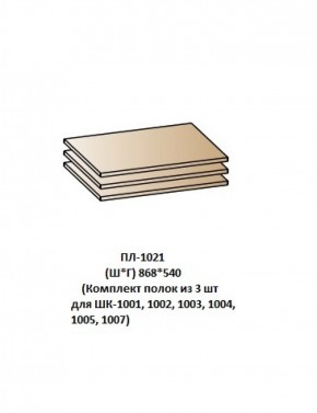 ПЛ-1021 (Комплект полок из 3 шт для ШК-1001, 1002, 1003, 1004, 1005, 1007) в Магнитогорске - magnitogorsk.mebel-74.com | фото