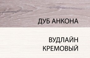 Шкаф 1DZ, OLIVIA, цвет вудлайн крем/дуб анкона в Магнитогорске - magnitogorsk.mebel-74.com | фото