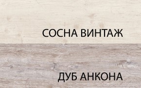 Шкаф 2D1S, MONAKO, цвет Сосна винтаж/дуб анкона в Магнитогорске - magnitogorsk.mebel-74.com | фото