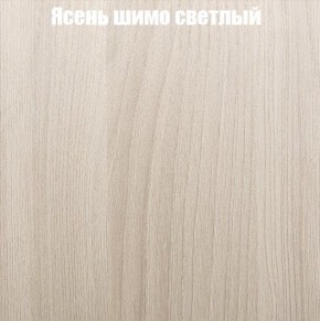 Шкаф-купе «ТАНДЕМ» 2-х дверный в алюминиевом профиле (Дверь К+К) 1200/h2200 в Магнитогорске - magnitogorsk.mebel-74.com | фото