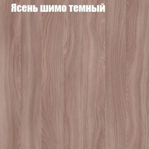Шкаф-купе «ТАНДЕМ» 2-х дверный в алюминиевом профиле (Дверь К+К) 1400/h2200 в Магнитогорске - magnitogorsk.mebel-74.com | фото