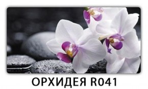 Стол раздвижной Бриз лайм R156 Орхидея R041 в Магнитогорске - magnitogorsk.mebel-74.com | фото